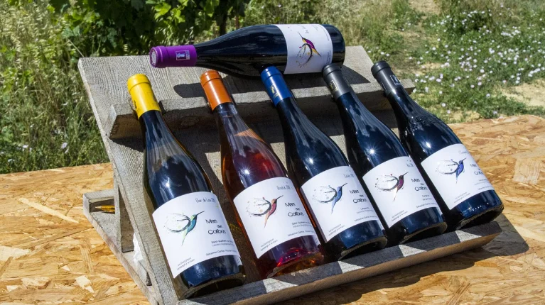 PLONGEZ DANS LE QUOTIDIEN D'UN VIGNERON