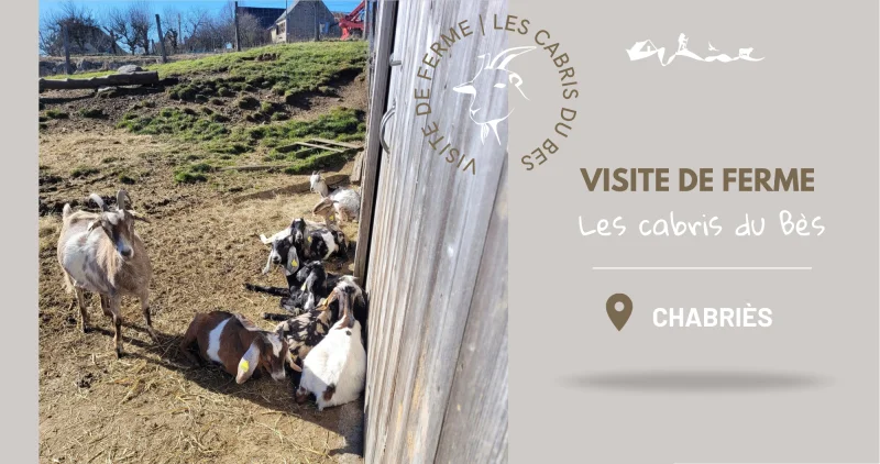 VISITE DE FERME LES CABRIS DU BÈS