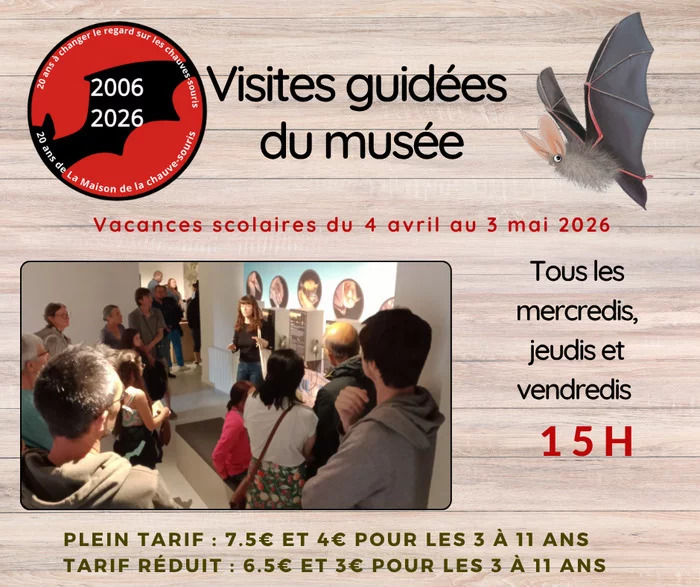 Visite guidée de la Maison de la Chauve-souris