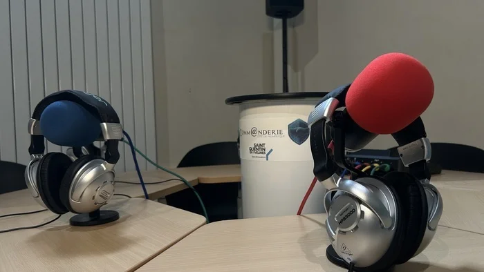 Web média (web TV, web Radio)