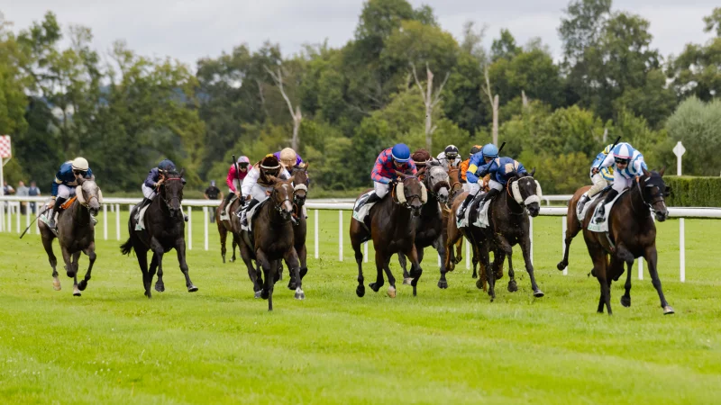 Courses Trot/Obstacle