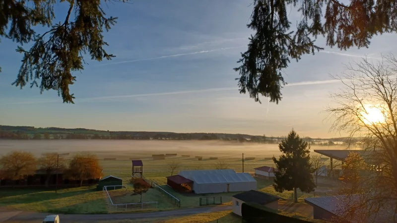 Courses Hippiques Plat/Obstacle