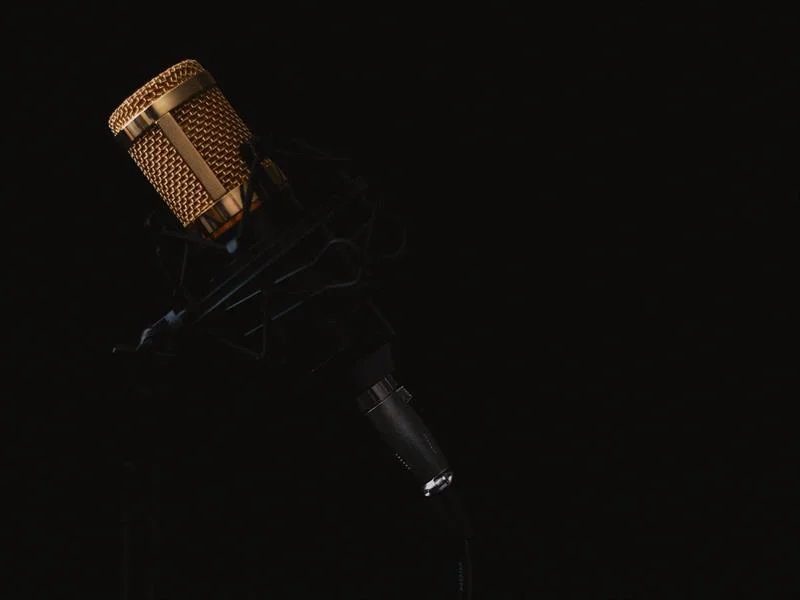 Concert vocal