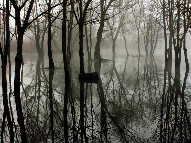 Inauguration "sauvage" : art et nature en dialogue - La Moselle Sauvage en Fête !