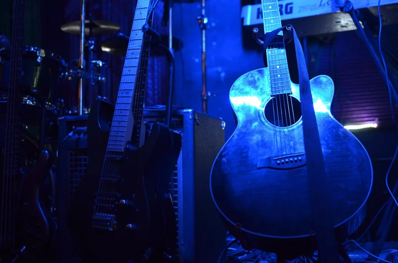 Concert du groupe Les Manchots