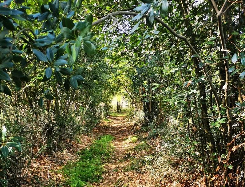 Journée Nature