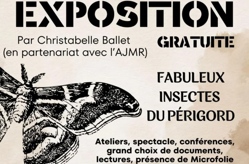 Exposition | Fabuleux insectes du Périgord