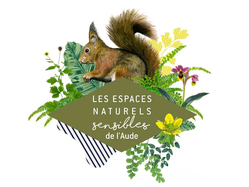 ENS - À LA DÉCOUVERTE DES ZONES HUMIDES