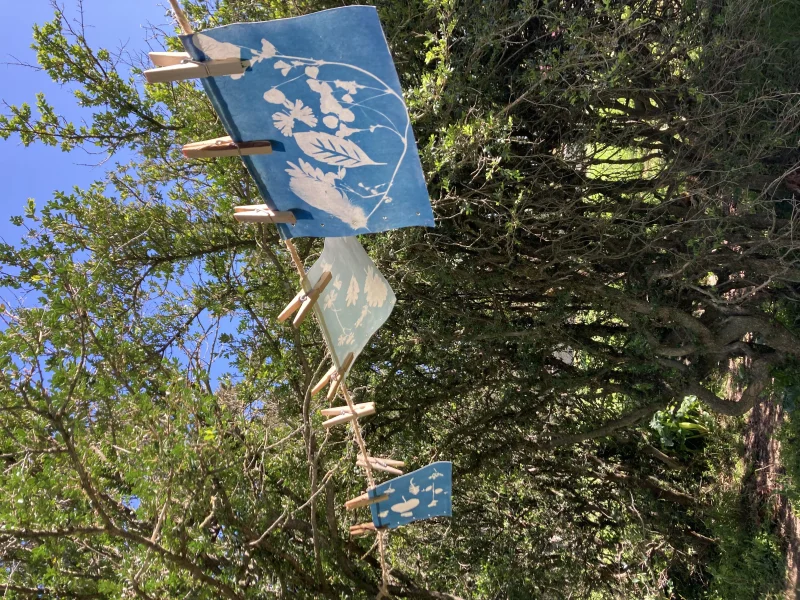 LES ATELIERS DE LA CABANE : DÉCOUVERTE DU CYANOTYPE