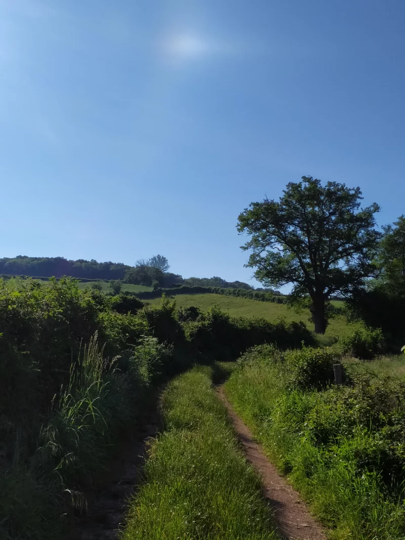 Le sentier de la Maison des Hommes et des Paysages