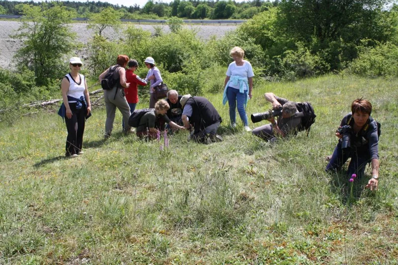 D'une voie ferrée à un corridor naturel