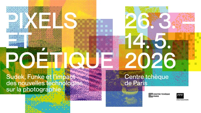 Exposition Pixels et poétique
