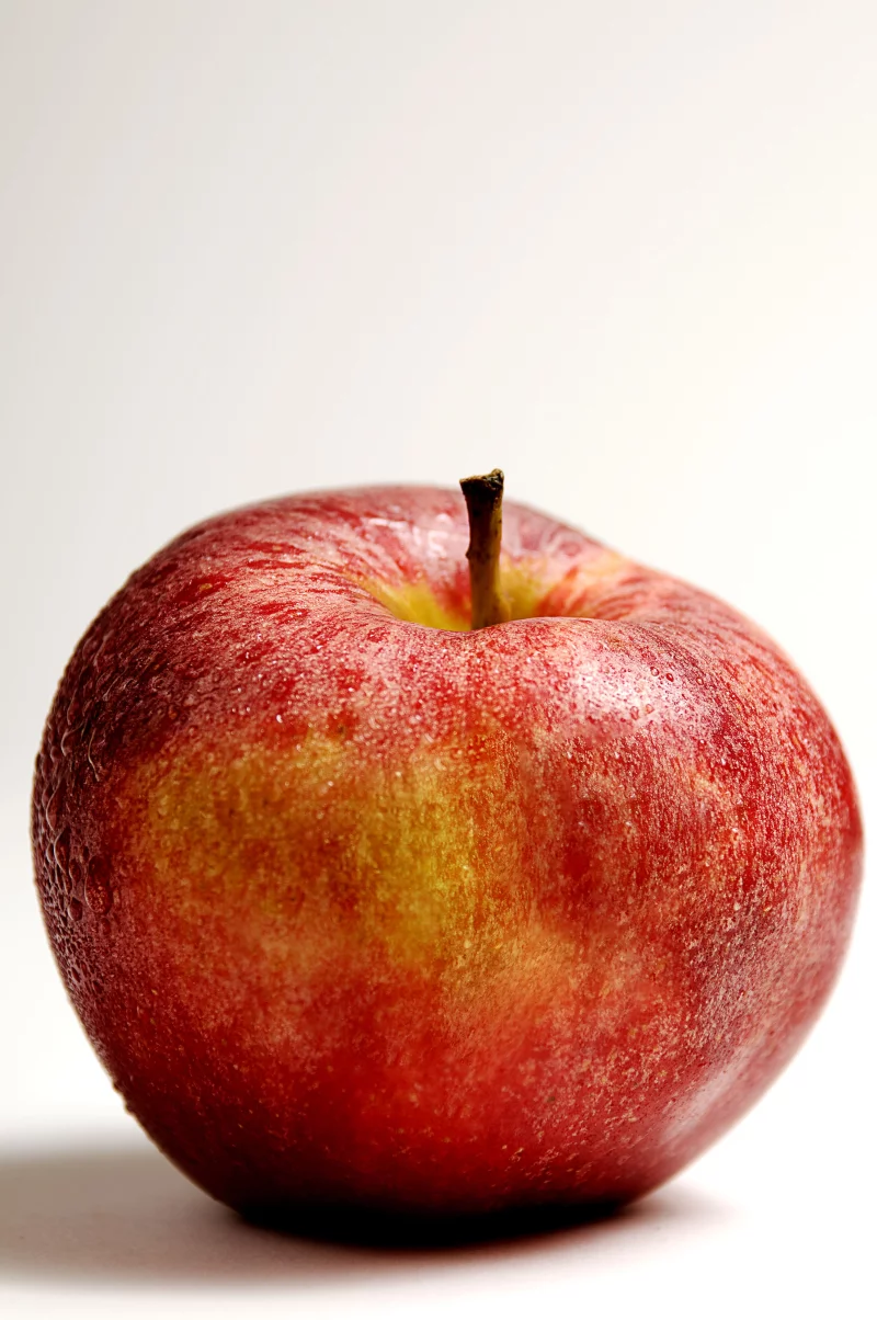 Atelier « Ma pomme »