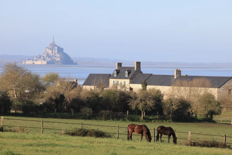 Les hommes, la nature et les paysages de la Baie