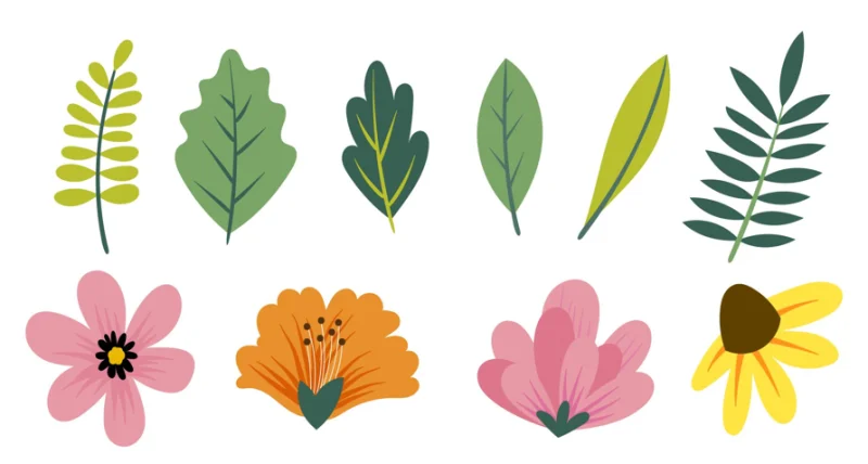 Voyage au fil des jardins