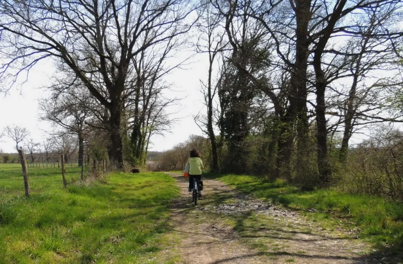Journée du patrimoine: découverte du patrimoine naturel "étang des Landes"