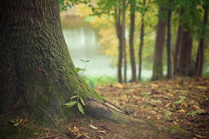 Fête de la Nature