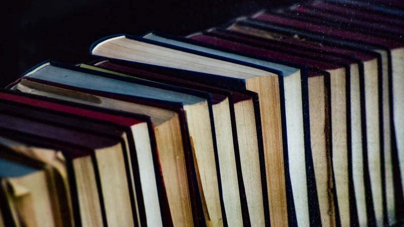 Journée du Livre