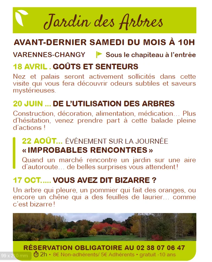 De l'utilisation des arbres