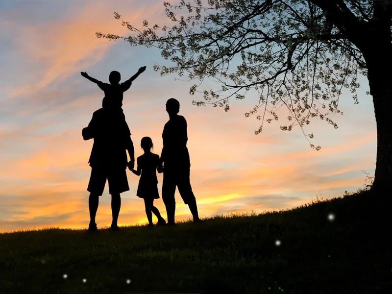 Conférence : de couple à parent… la grande métamorphose