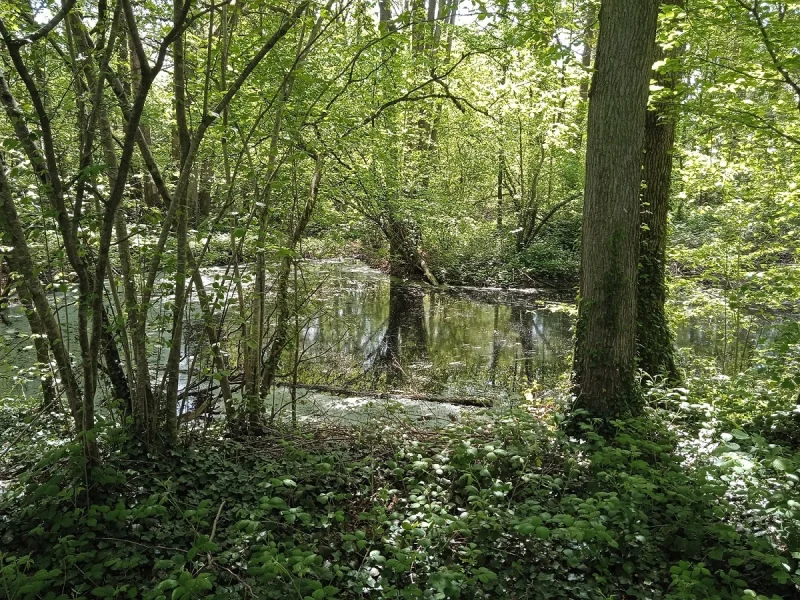 Vendredis "nature" : de l'argile au pot