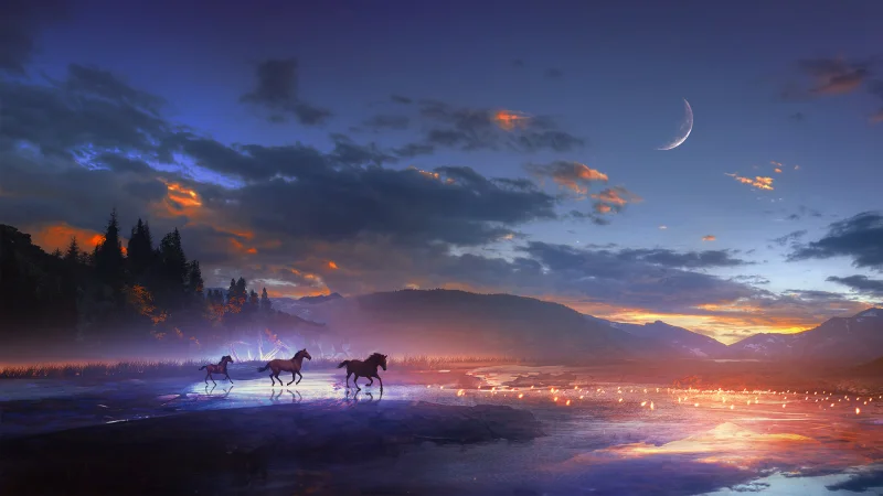 Rêver avec les chevaux