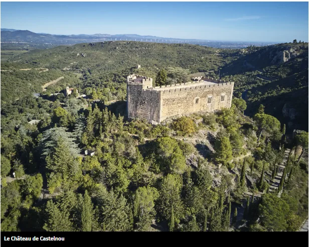 CHÂTEAU DE CASTELNOU