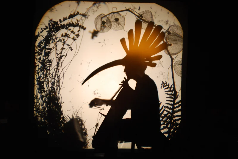 Théâtre de l'Usine - Volatile ombré