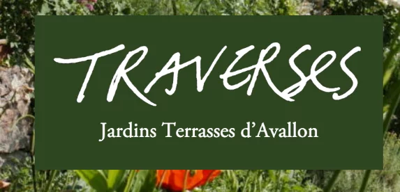 Visite Jardins terrasses - Plantes à soigner, plantes à croquer