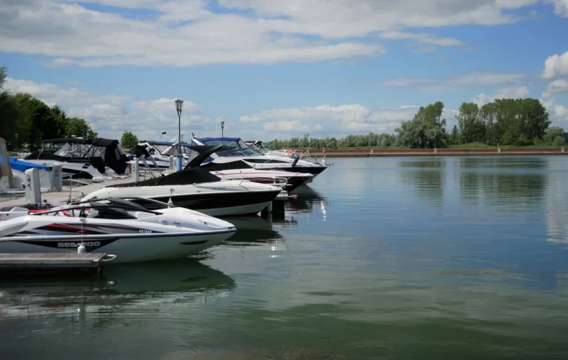 Fête du port