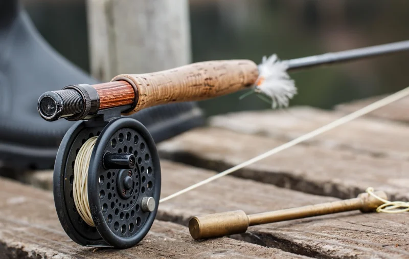 Pêche au coup, feeder et carpe sur l'étang de la Pouge