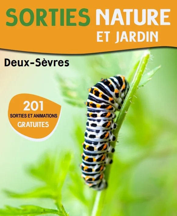 Sortie nature - Les papillons de nuit de la Prée des Cosses