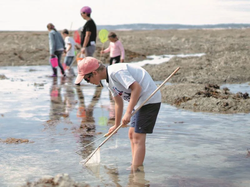 Initiation pêche à pied