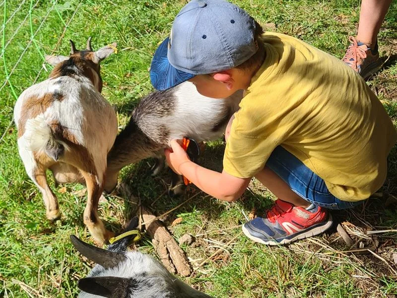 Visite guidée de la ferme