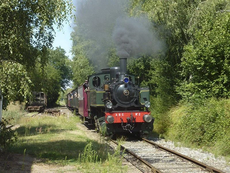 Activité : le Train Thur Doller Alsace