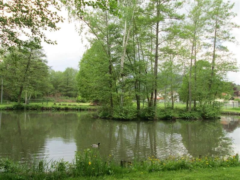 Pêche à l'étang