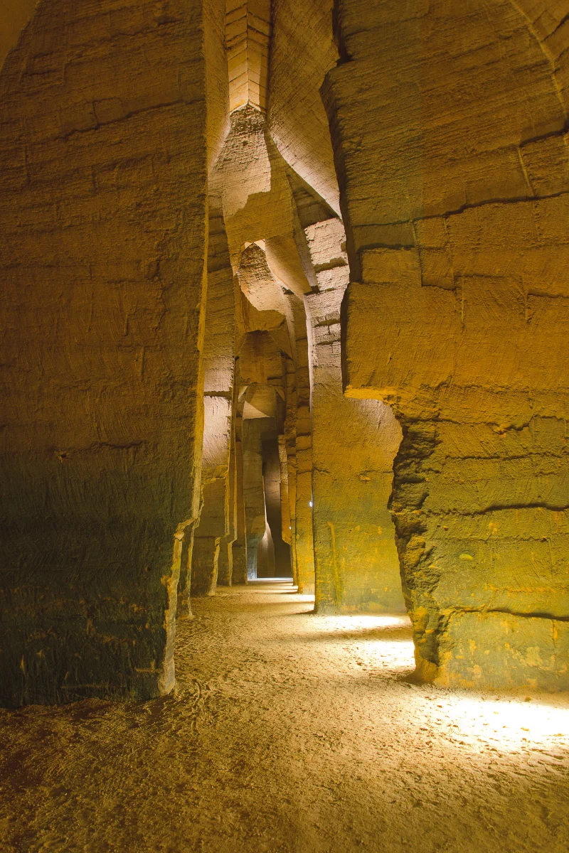 Les 1001 vies des troglos