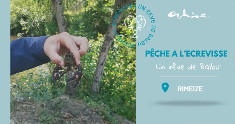 LES SORTIES NATURE : PÊCHE DE L'ÉCREVISSE