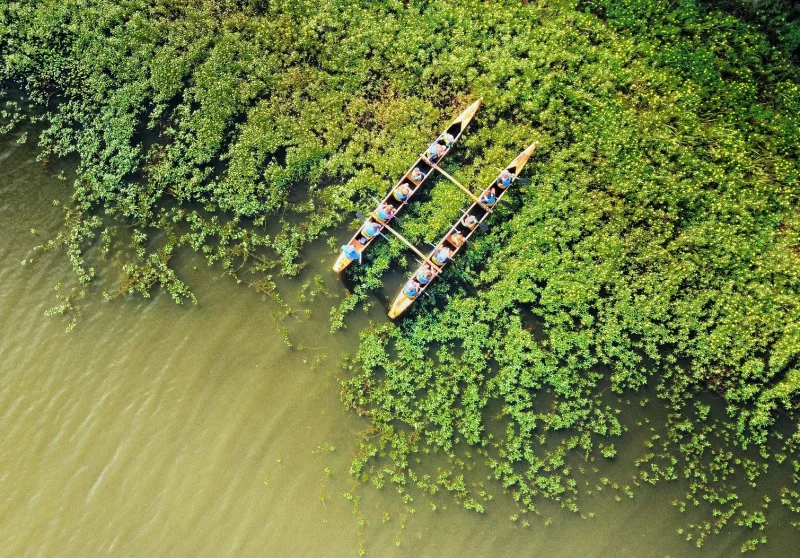 Balade nature en pirogue hawaïenne - Faune Landaise