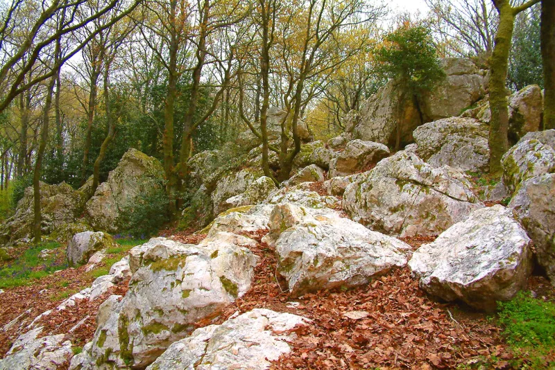 Visite - Site de Pyrome