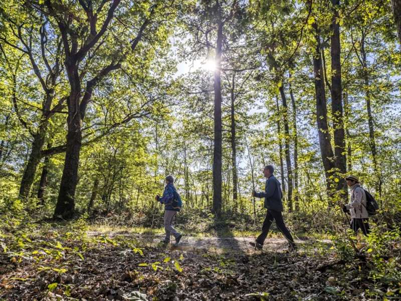 Randonnée pédestre et VTT