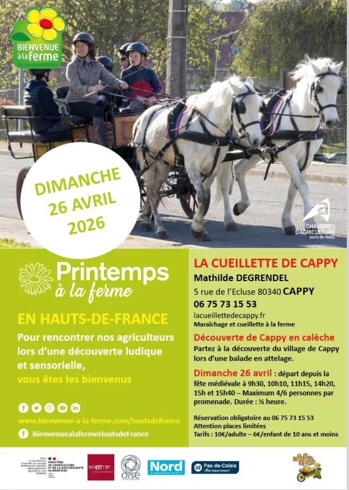 Découverte de Cappy en calèche