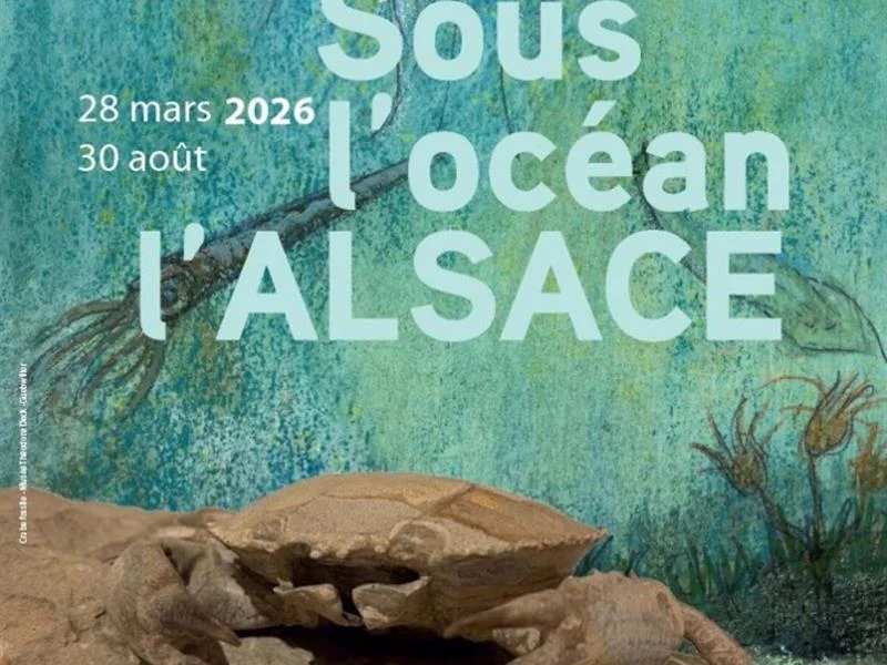 Visite guidée de l'exposition "Sous l'océan, l'Alsace"