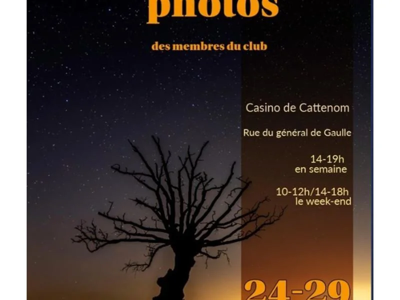 Exposition photos de Déclic’Catt