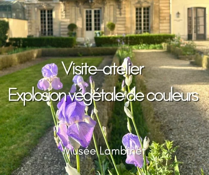 Visite créative en famille “Explosion végétale de couleurs”