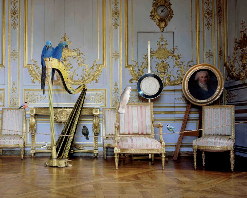 Karen Knorr habite le château