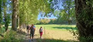 Randonnée pédestre du Printemps