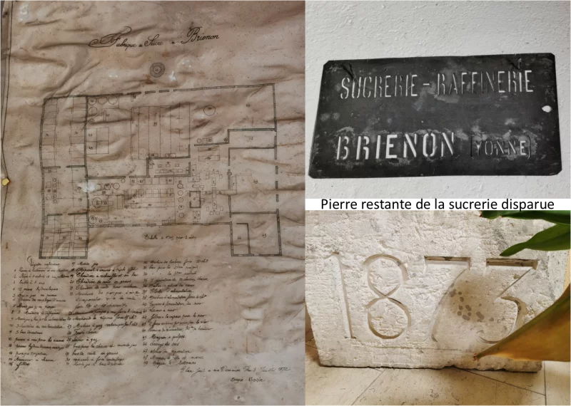 Brienon, terre de sucre