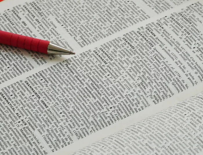 Stage adultes de français / Remise à niveau en orthographe et grammaire