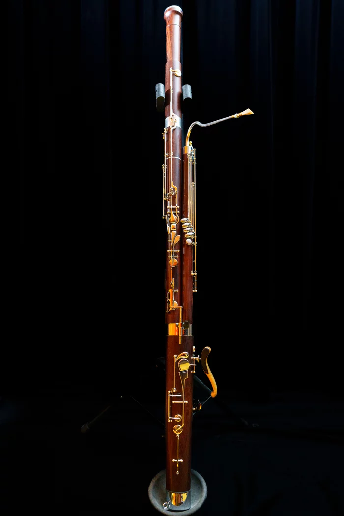 Audition de la classe de basson